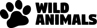 Wild Animals logo